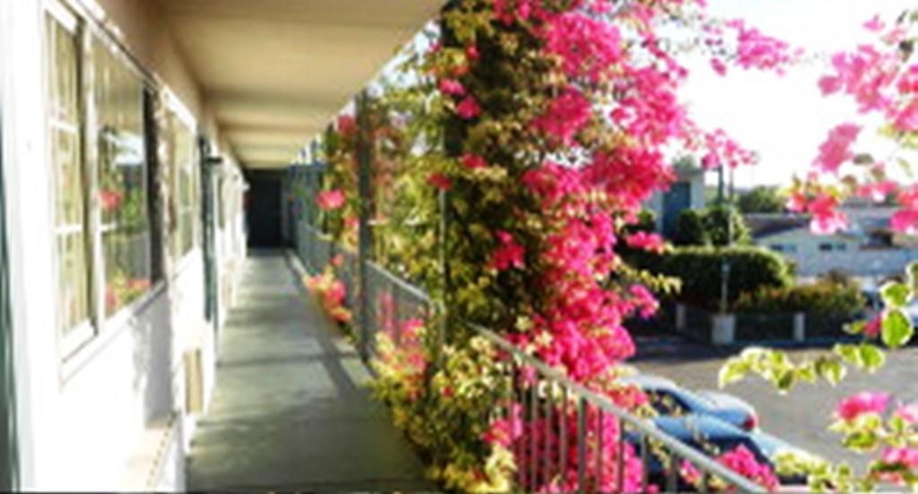 Antioch Executive Inn Exterior photo